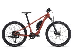 E-MTB Kids
